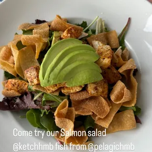 Fresh Asian salmon salad special