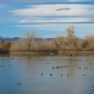 "Boy Fishing" by Susan Grant Raymond at Ketring Park