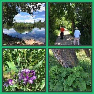 Perfect for seniors and toddlers and everyone else.