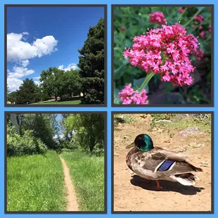 Something for everyone.