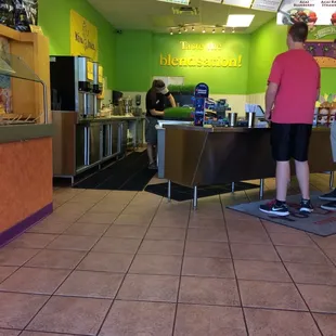 Fields of wheat grass