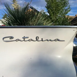 Catalina L.