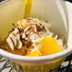 Coconut Yogurt with Mango. Almonds &amp; Shredded Coconut