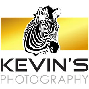 Albuquerque Wedding and portrait photographers