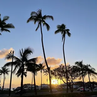 Sunset over Kewalo Basin Harbor