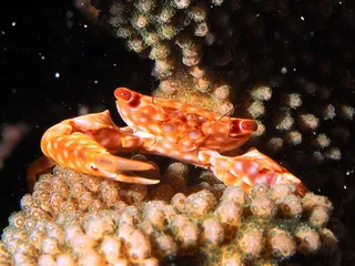Point Panic Beach Park