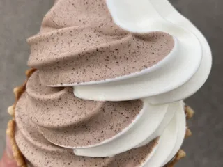Dogs & Cream