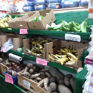Spanish type vegetables for your Spanish cooking needs!