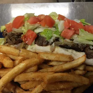 Cheese Steak Sub with French Fries
