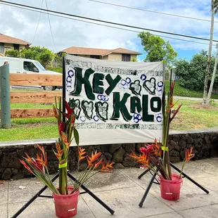Kalo Fest 2022