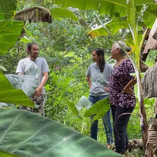 &apos;Aina Programs