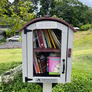 Our free Little Library
