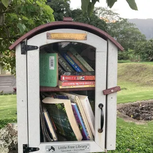 Little Free Library sighting!