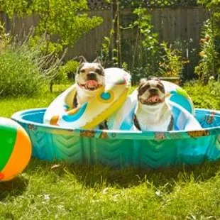 Looking for a new house with a Pool?  Call Karyn at Key Realty and Property Management 405-605-6555