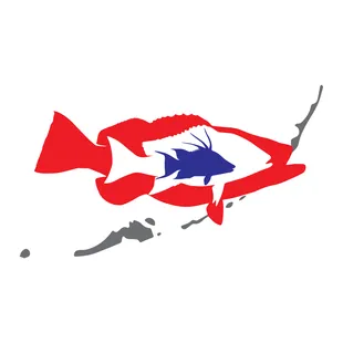 a red and blue fish