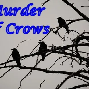 Murder of Crows may be inspired by Edgar Allen Poe but EVERYBODY will love it.