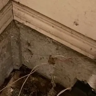 Spiders and dirty,  never swept or cleaned.