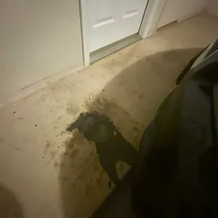 Cob webs everywhere and not cleaned