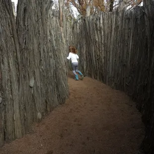 The maze