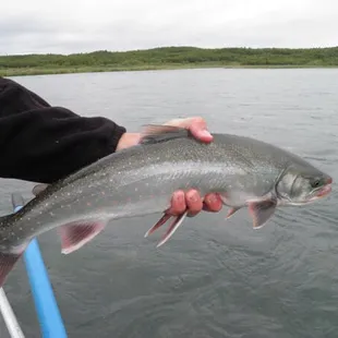 Fishing. That's my boy