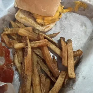 Kids sliders and fries, comes with two sliders