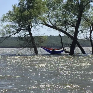 Extreme hammocking at Walnut Creek, don&apos;t try this at home!