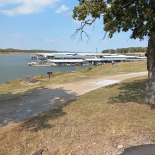 Looking at the marina.