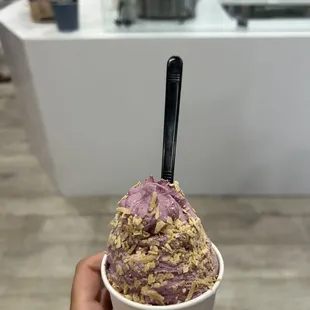 Kookaberry Icecream