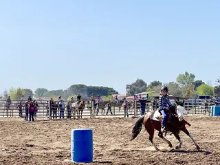 All Star Training