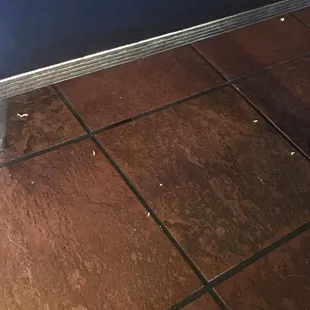 Crumbs, and the floors were extremely sticky.