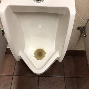 Filthy urinal with no cleansing pack!