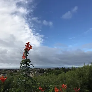 This KFC Store always little......!!!!!