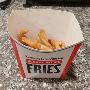"Large" fries at $4.69 that came barely half full.