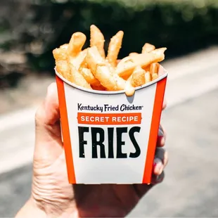 Secret Recipe Fries.