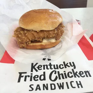 food, sandwiches, sandwich