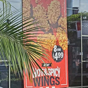Hot &amp; Spicy Wings. Limited of time.