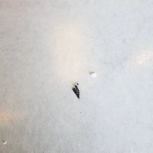 Something floating in my drink. I had iced tea.