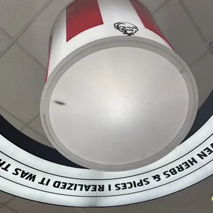 Light above table had lots of bugs