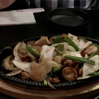 Large Intestines