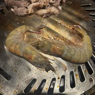 Shrimp