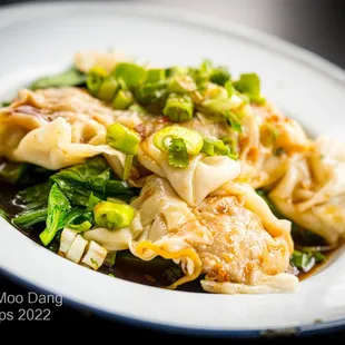 #19 Pork Dumplings
