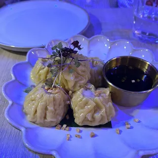 Thai Dumplings (5)