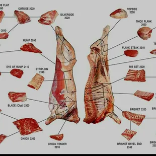 a diagram of the halal market