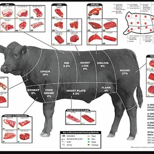 a diagram of halal market
