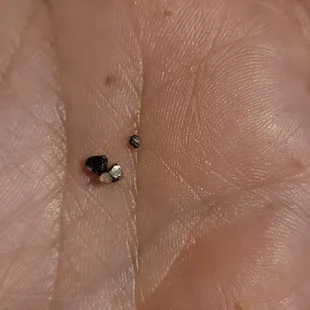 Found this in my humus.  Metal or something.  Meat was dried out and flavor off. Falafel was bricks and just crumbled... never again