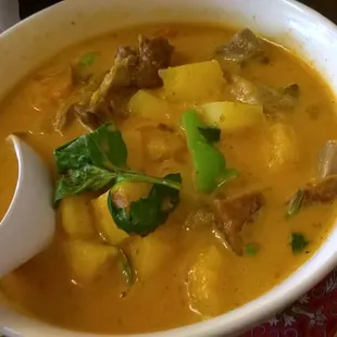 Duck Curry