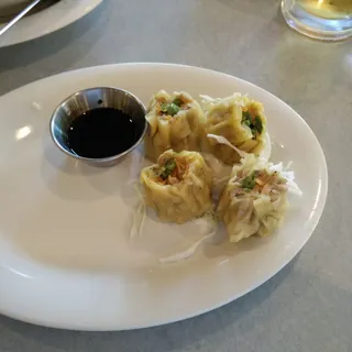 Thai Dumplings