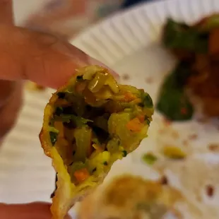 Interior of vegetable gyo zaa ($7). Pretty good.