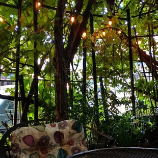 Casual elegance in a glorious patio setting