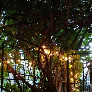 Casual elegance in a glorious patio setting